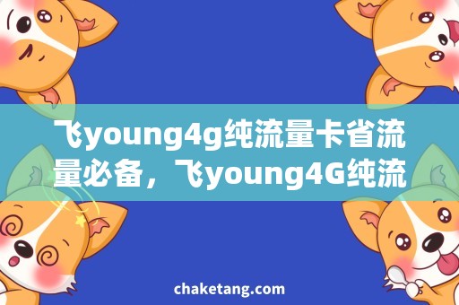 飞young4g纯流量卡省流量必备，飞young4G纯流量卡的最佳选择