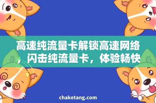 高速纯流量卡解锁高速网络，闪击纯流量卡，体验畅快上网乐趣