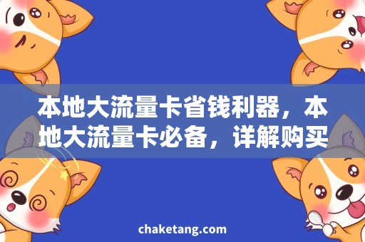 本地大流量卡省钱利器，本地大流量卡必备，详解购买技巧
