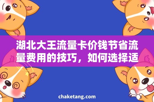 湖北大王流量卡价钱节省流量费用的技巧，如何选择适合自己的湖北大王流量卡