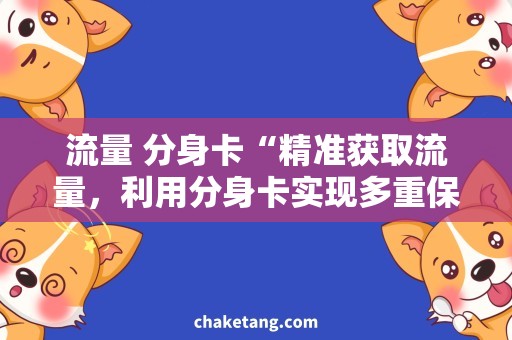 流量 分身卡“精准获取流量，利用分身卡实现多重保障”