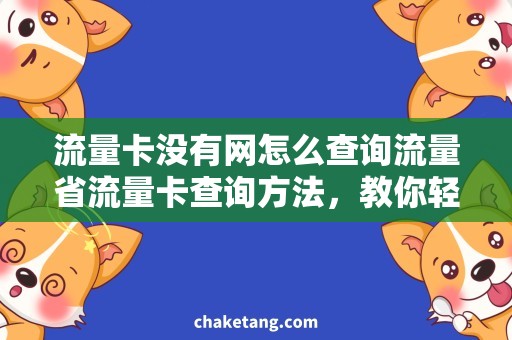 流量卡没有网怎么查询流量省流量卡查询方法，教你轻松解决没有网的问题