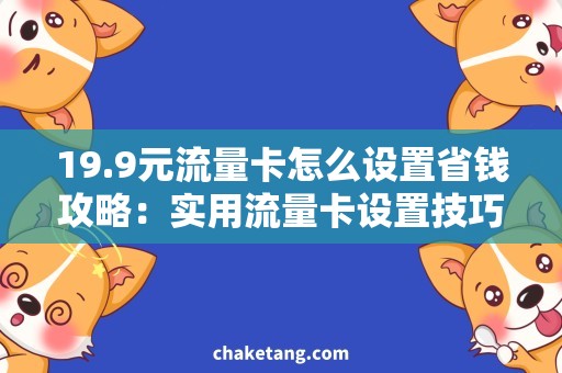 19.9元流量卡怎么设置省钱攻略：实用流量卡设置技巧，让19.9元流量卡更高效利用！